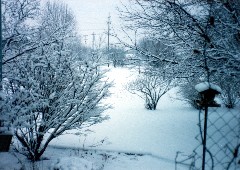 Julia Dorroughs front yard